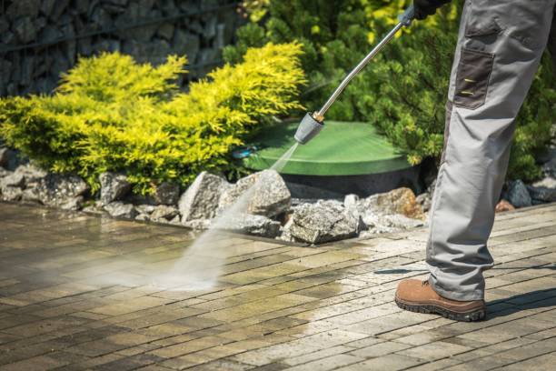 Best Gutter Cleaning  in Johnsonburg, PA