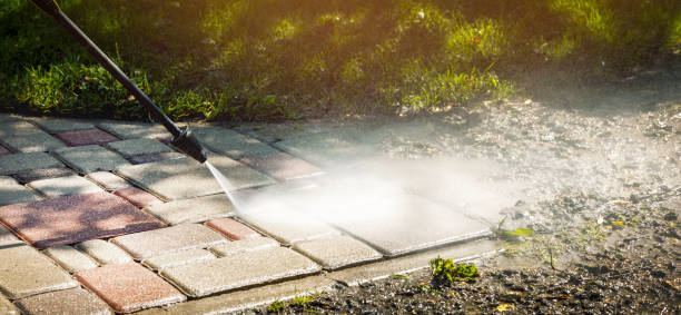Best Animal Enclosure Cleaning  in Johnsonburg, PA
