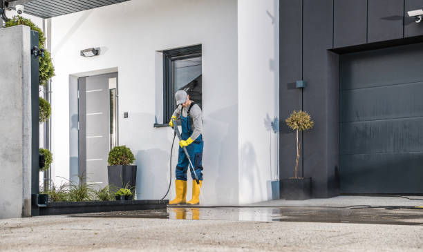 Best Roof Washing  in Johnsonburg, PA